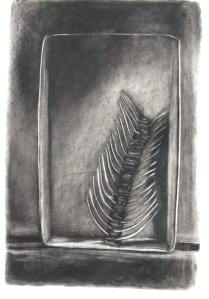Carole's reduction charcoal 2