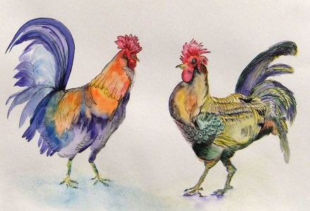 Colour ink Roosters