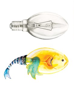 Illust_ordinary-object_web